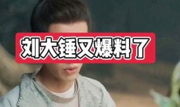 刘大锤爆料陈建斌视频播放,揭秘幕后真相